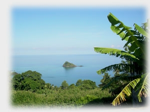 Pour toi: Amour inconnu